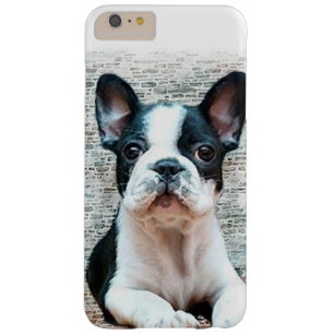 French Bulldog iPhone 6 Plus Fall Barely There iPhone 6 Plus Hülle