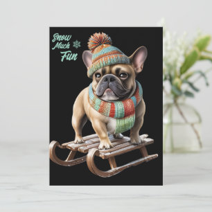 French Bulldog lustige Schlittenfahrt im Urlaub