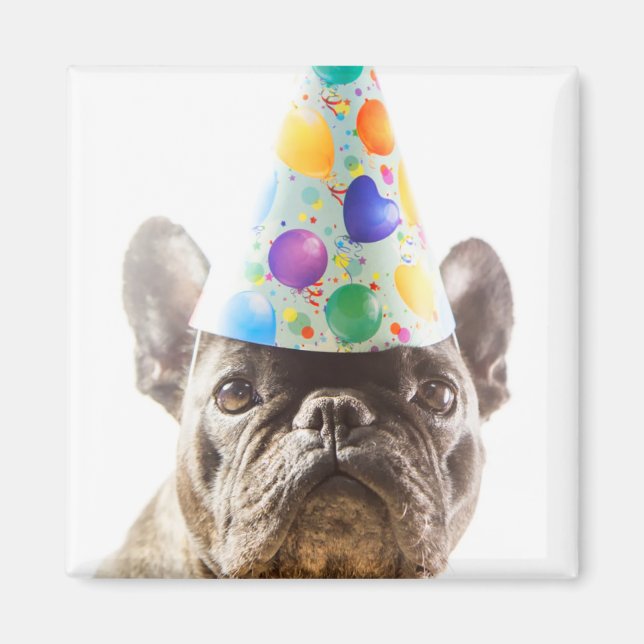 French Bulldog mit Party Hat Magnet (Vorne)