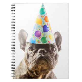 French Bulldog mit Party Hat Notizblock