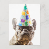French Bulldog mit Party Hat