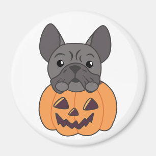 French Bulldog Pumpkin Sweet Hogs Happy Halloween Magnet