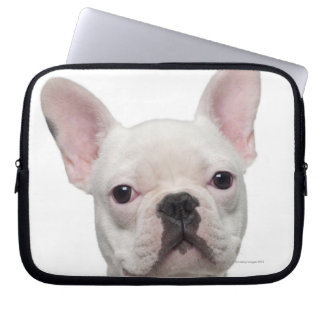 French Bulldog Puppy (5 Monate alt) Laptopschutzhülle