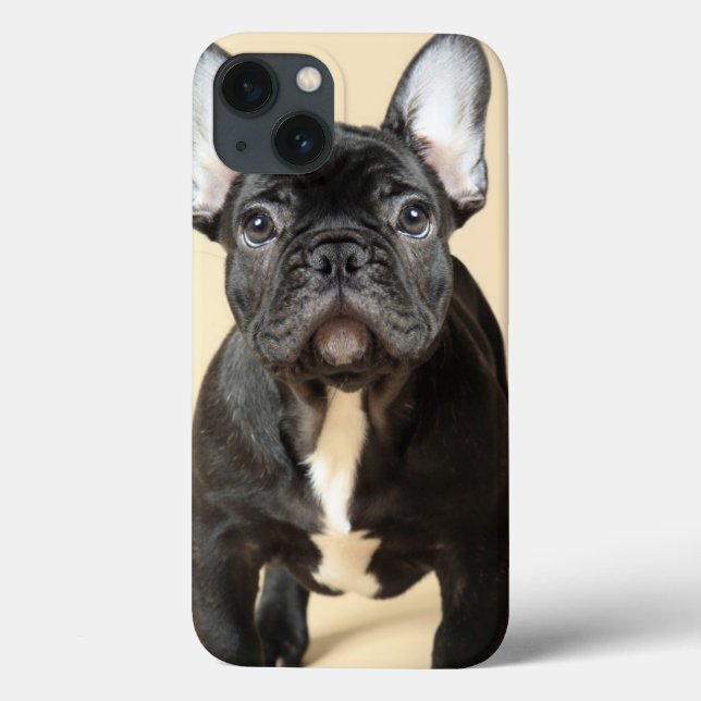 French Bulldog Puppy Case-Mate iPhone Hülle (Rückseite)