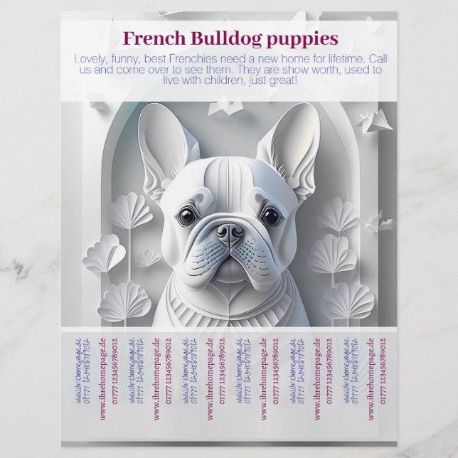 French Bulldog Puppy Flyer (Vorne)