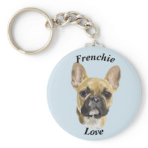 French Bulldog Puppy