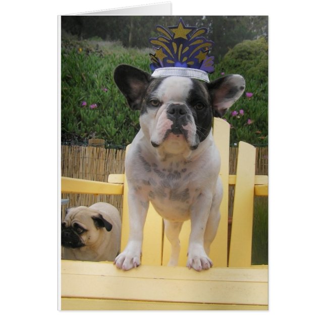 French Bulldog Queen (Vorne)