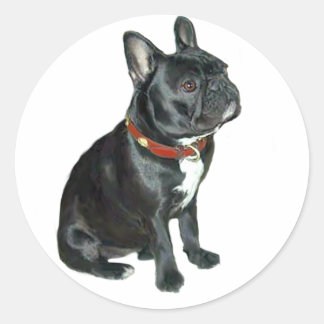 French Bulldog - Schwarz mit rotem Kragen Runder Aufkleber