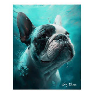 French Bulldog swimming in water 011 Poster