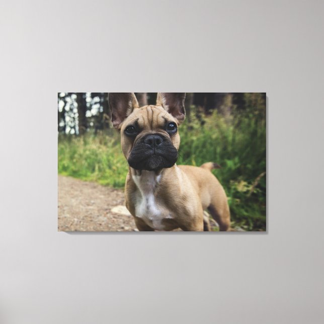 French Bulldog Throw Pillow Leinwanddruck (Vorderseite)