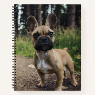 French Bulldog Throw Pillow Notizbuch