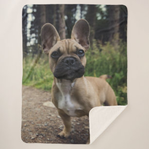 French Bulldog Throw Pillow Sherpadecke