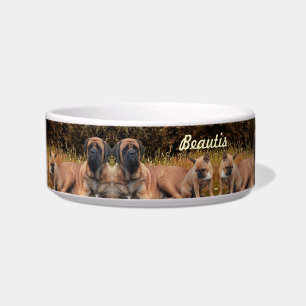 French Bulldog und Mastiff Freunde Napf