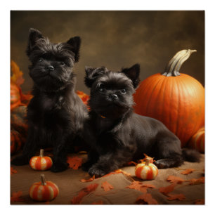 French Bulldog Welpe Autumn Delight Pumpen Poster