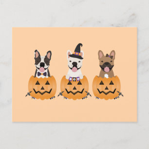 French Bulldogs Halloween Pumpkin Postkarte