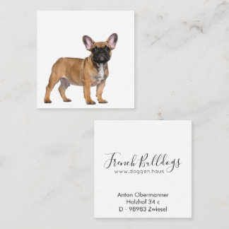 French Bulldogs  Square Business Card Quadratische Visitenkarte
