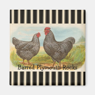 French Country Rooster Hen Poultry Kühlschrankmagn Magnet