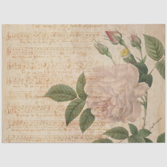 French Ephemera Tissue Paper Seidenpapier (Vorderseite)