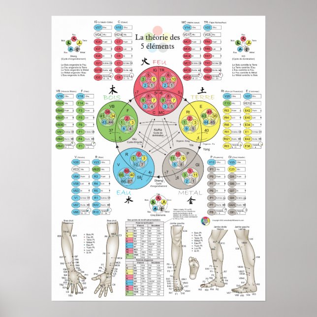 French Five Elements Acupuncture Poster (Vorne)