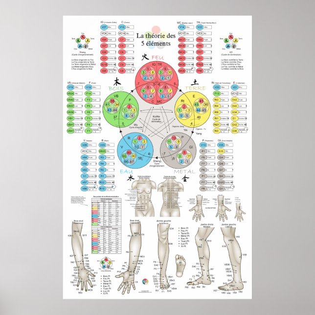 French Five Elements Acupuncture Poster (Vorne)