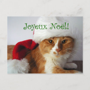 French Greeting Cat in Santa Hat Postcard Feiertagspostkarte