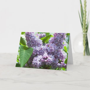French Lilac Get Well Card Template Karte