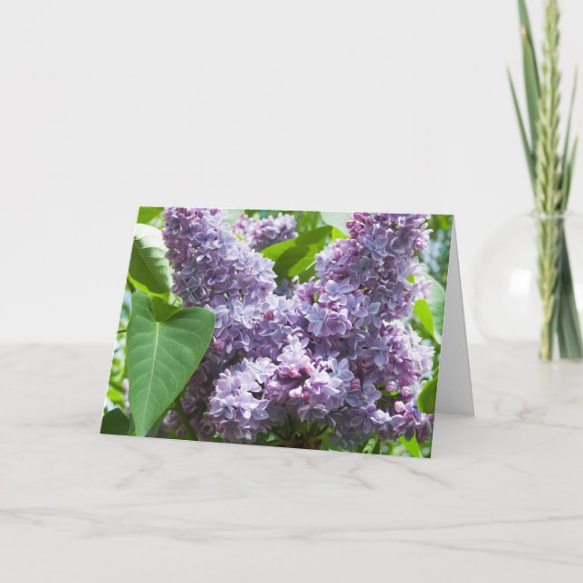 French Lilac Get Well Card Template Karte (Vorderseite)
