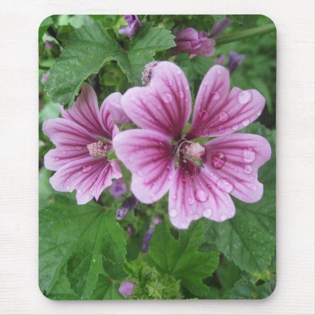 French Mallows Foto Mousepad (Vorne)
