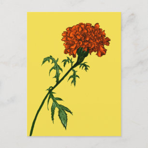 French Marigold Blume Pflanze Lover Gardener Postkarte