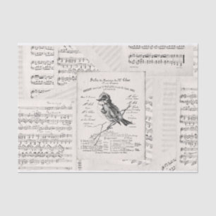 French Music Concert Bird Sheet Music Vintag Seidenpapier