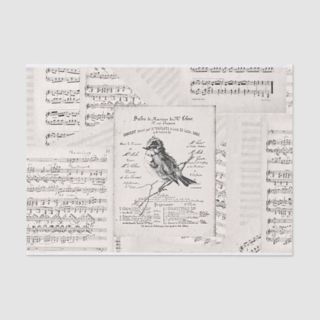 French Music Concert Bird Sheet Music Vintag Seidenpapier (Vorderseite)