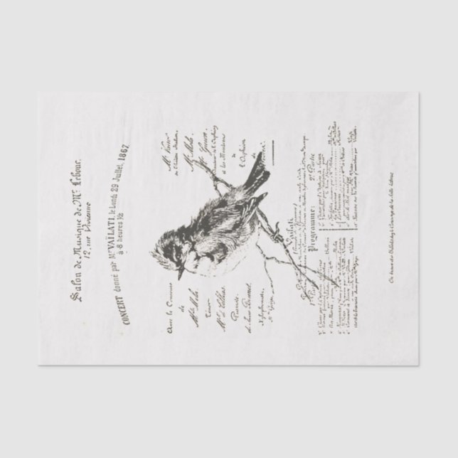 French Music Salon Bird Script Tissue Paper Seidenpapier (Vorderseite)