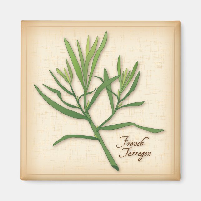 French Tarragon Herb Magnet (Vorne)