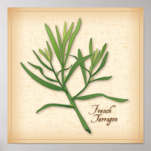 French Tarragon Herb Poster