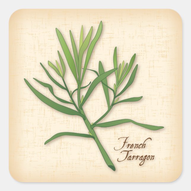 French Tarragon Herb Stickers (Vorderseite)