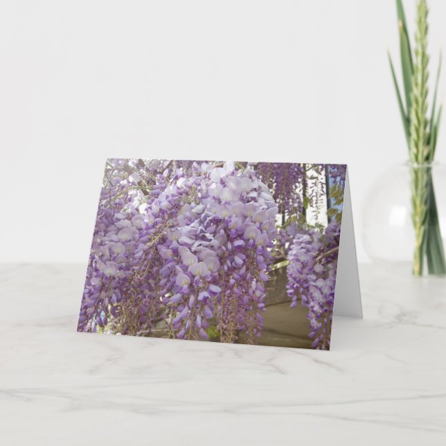 French Wisteria Feiertagskarte (Vorderseite)