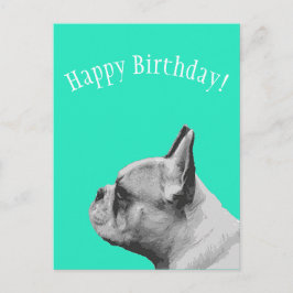 Frenchie | Aqua farbig Happy Birthday Postkarte