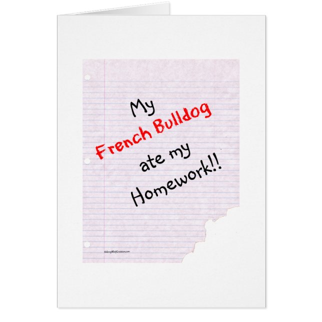 Frenchie Ate My Hausaufgaben (Vorne)