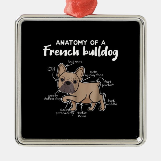 Frenchie-Geschenk| Anatomie eines französischen Bu Ornament Aus Metall (Vorne)