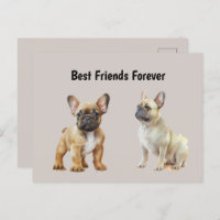 Frenchie Hunde: Die besten Freunde für immer