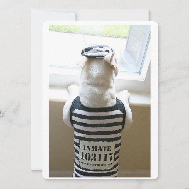 Frenchie Jailbird Happy Birthday Card (Vorderseite)