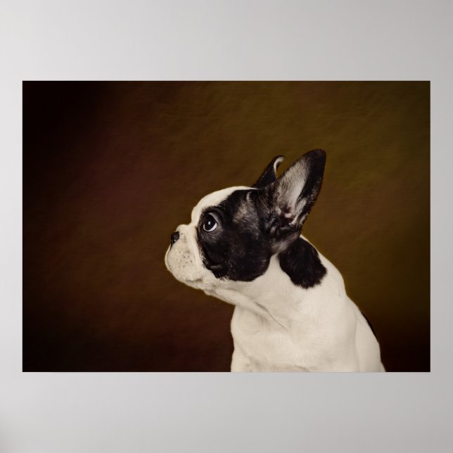 Frenchie Poster (Vorne)