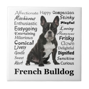 Frenchie Tracks Tile Fliese