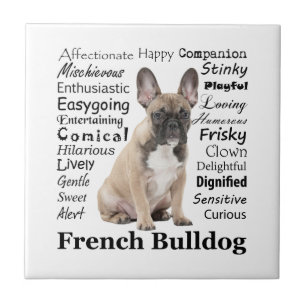 Frenchie Traits Keramik Tile Fliese