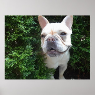 Frenchy auf Streife Poster