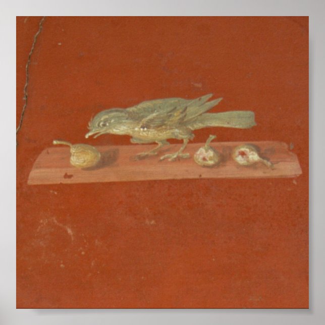 Fresco, Villa Oplontis Poster (Vorne)