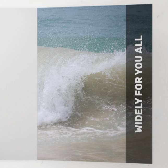 Fresh Black Modern Transparency Dreifach Gefaltete Karte (Innen Letzte Seite)