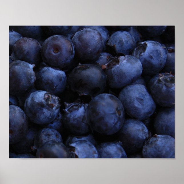 Fresh Blueberries Poster (Vorne)