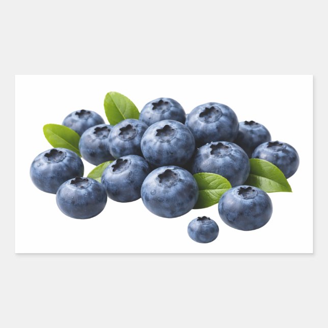Fresh Blueberries with Leaves Sticker (Vorderseite)