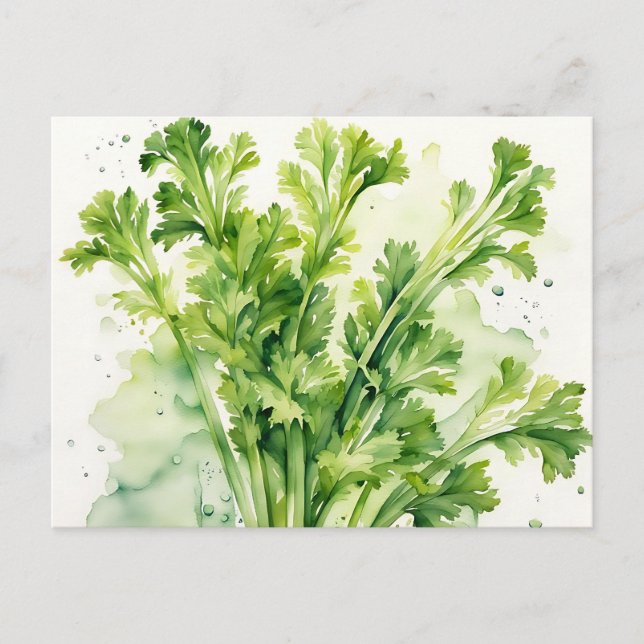 Fresh Celery Postkarte (Vorderseite)